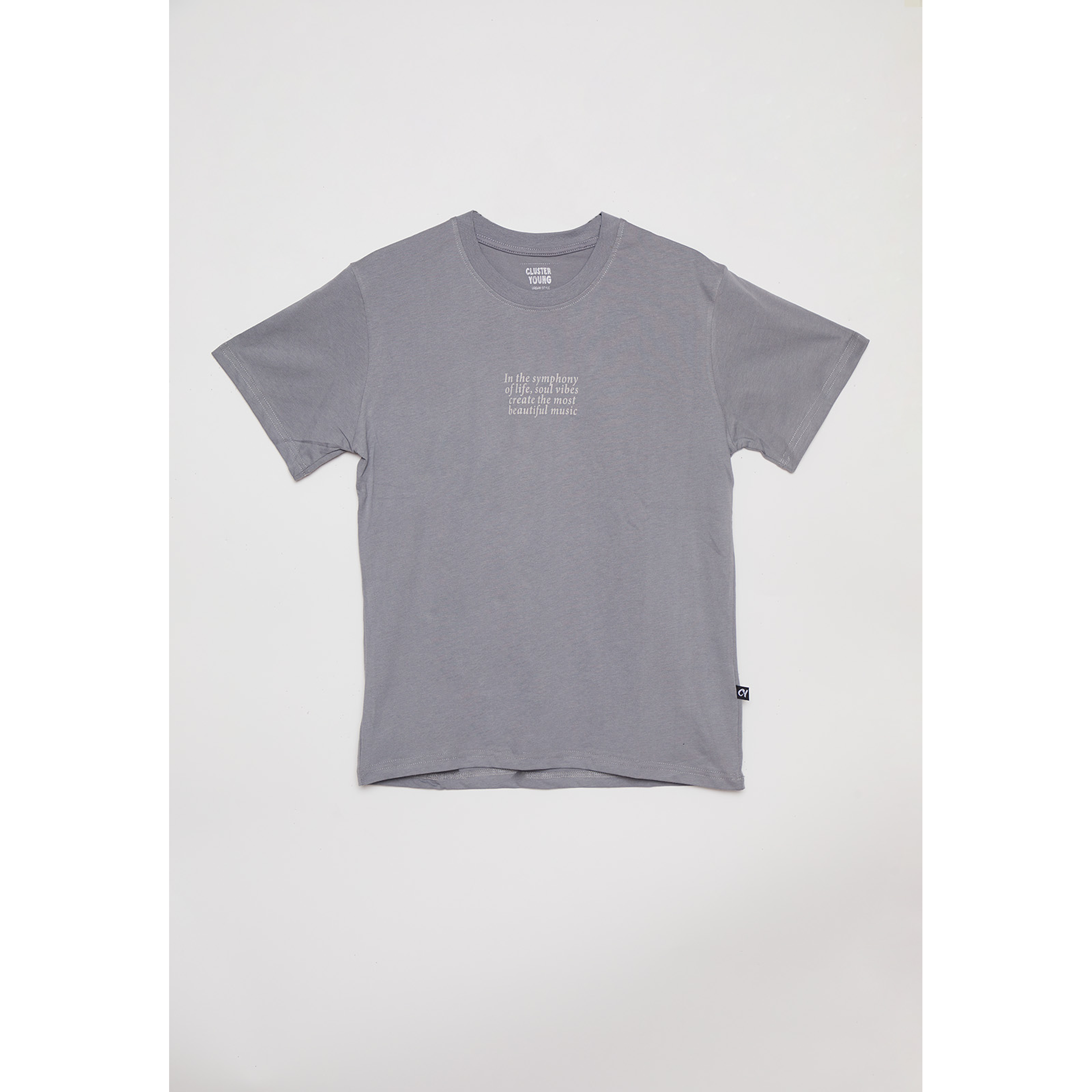 Polera Lolo Manga Corta Gris Familyshop 2