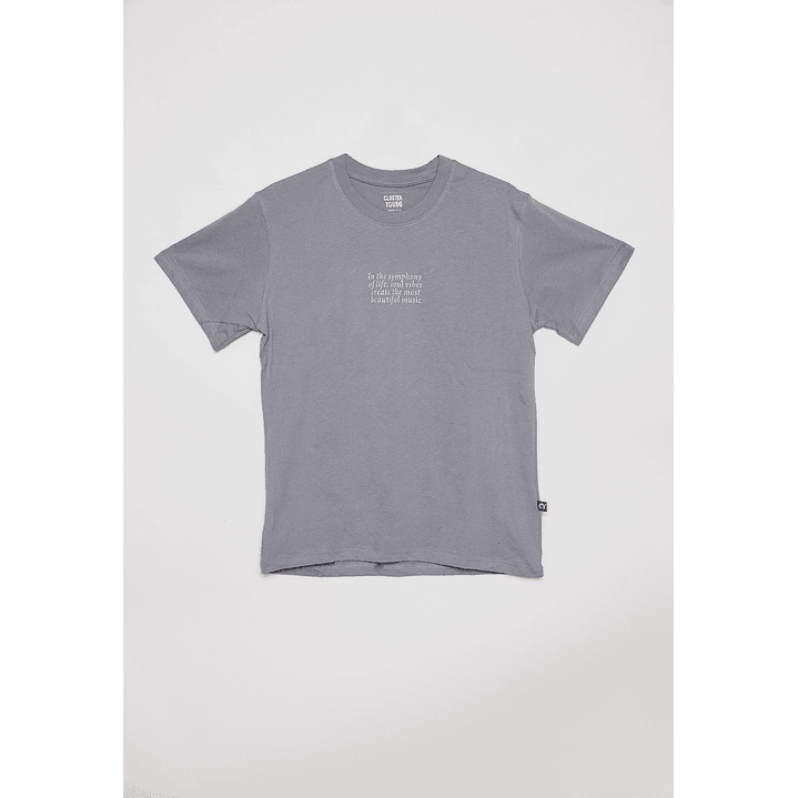 Polera Lolo Manga Corta Gris Familyshop 2