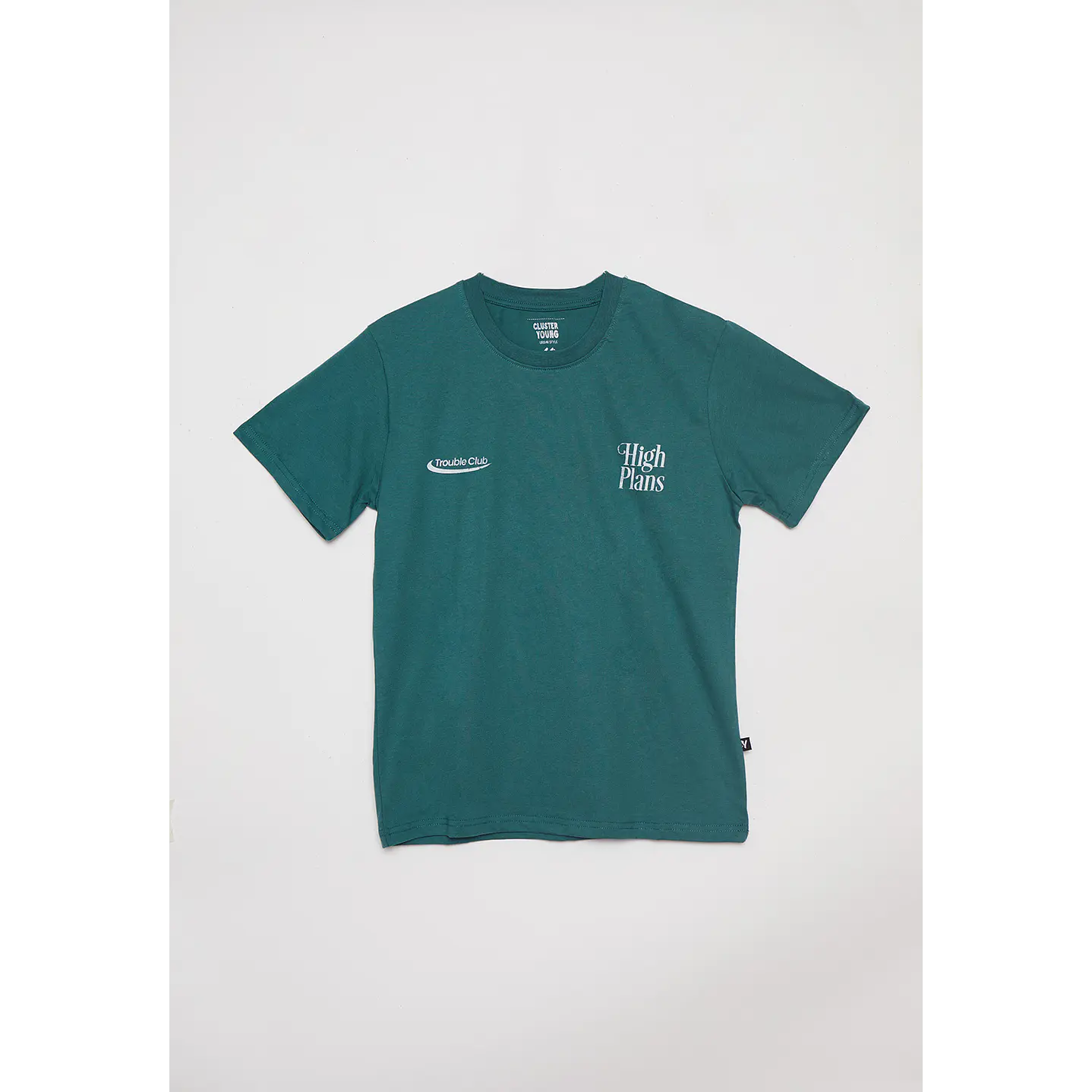 Polera Lolo Moda Espalda Verde Familyshop 1
