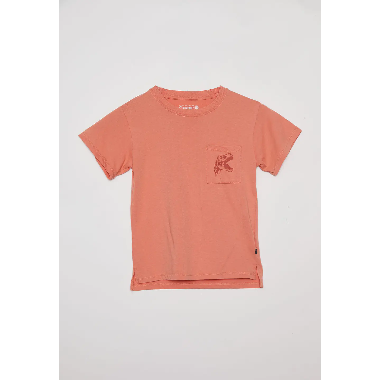 Polera Acid Wash Manga Corta Café Familyshop 1