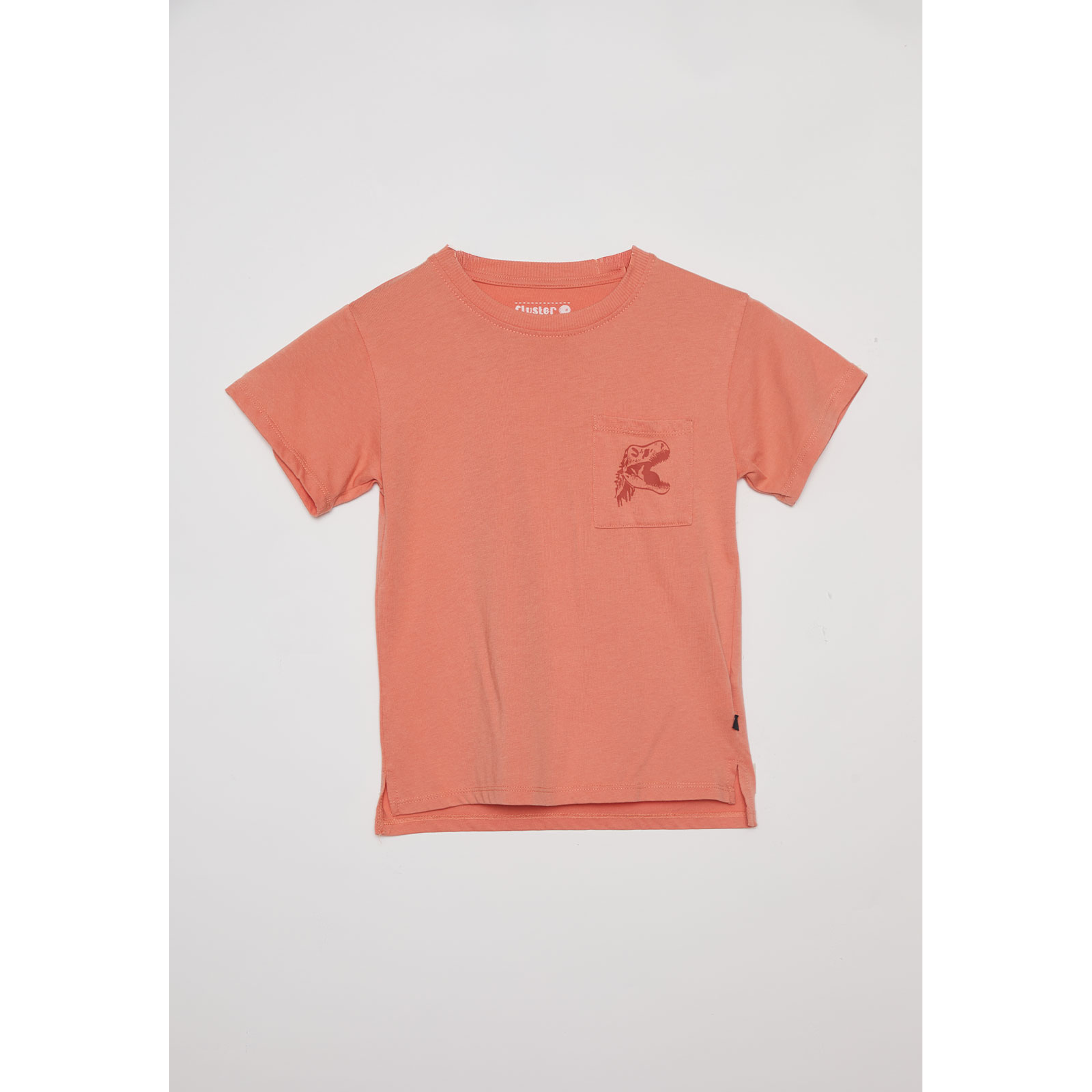 Polera Acid Wash Manga Corta Café Familyshop 1