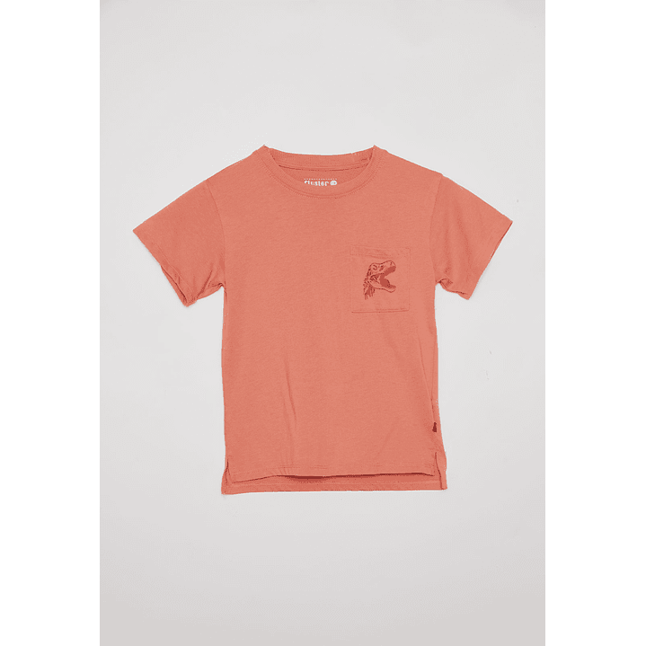 Polera Acid Wash Manga Corta Café Familyshop 1