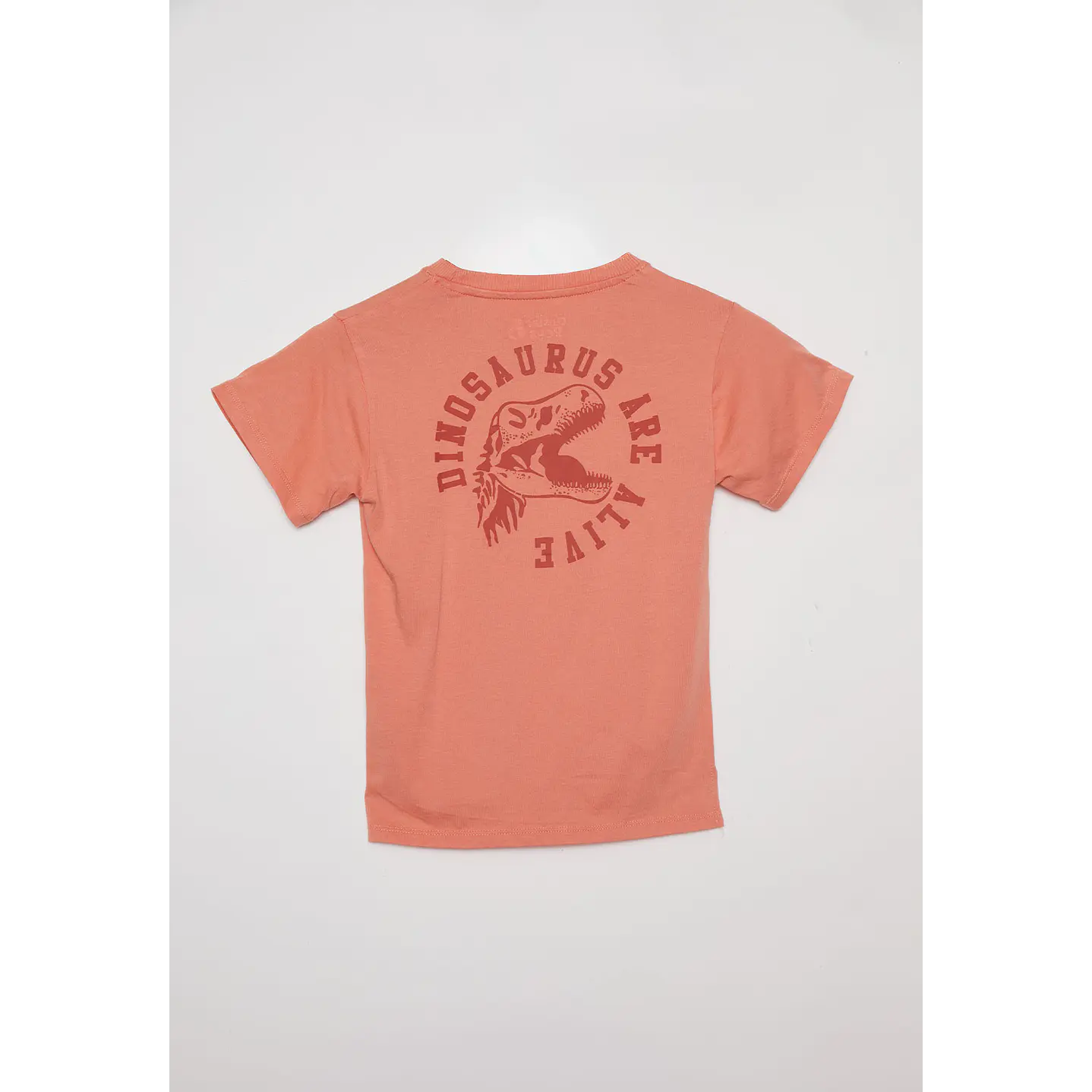 Polera Acid Wash Manga Corta Café Familyshop 2