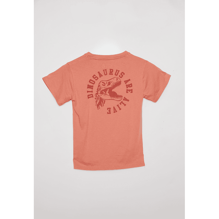 Polera Acid Wash Manga Corta Café Familyshop 2