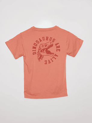 Polera Acid Wash Manga Corta Café Familyshop