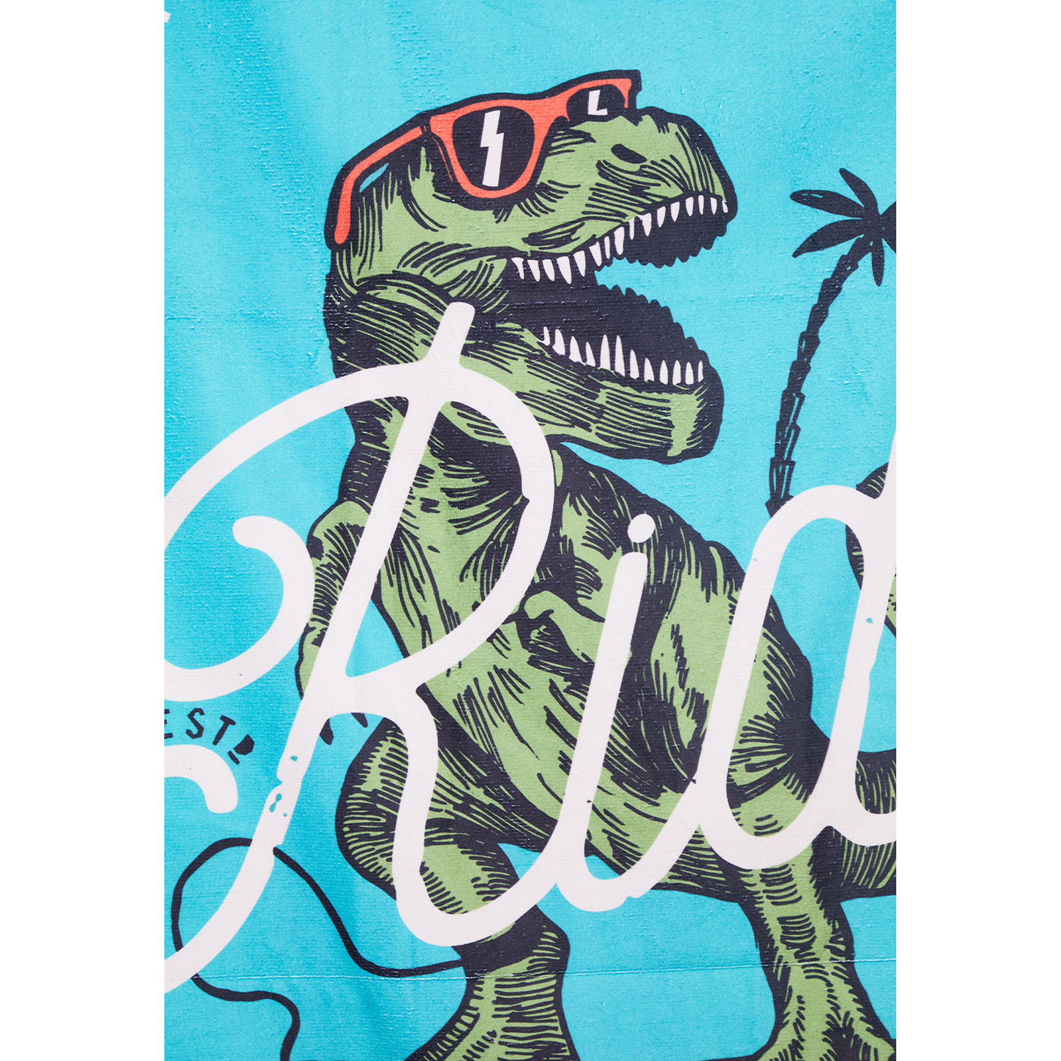 Toalla T-Rex 70x140 cm Celeste Familyshop 2