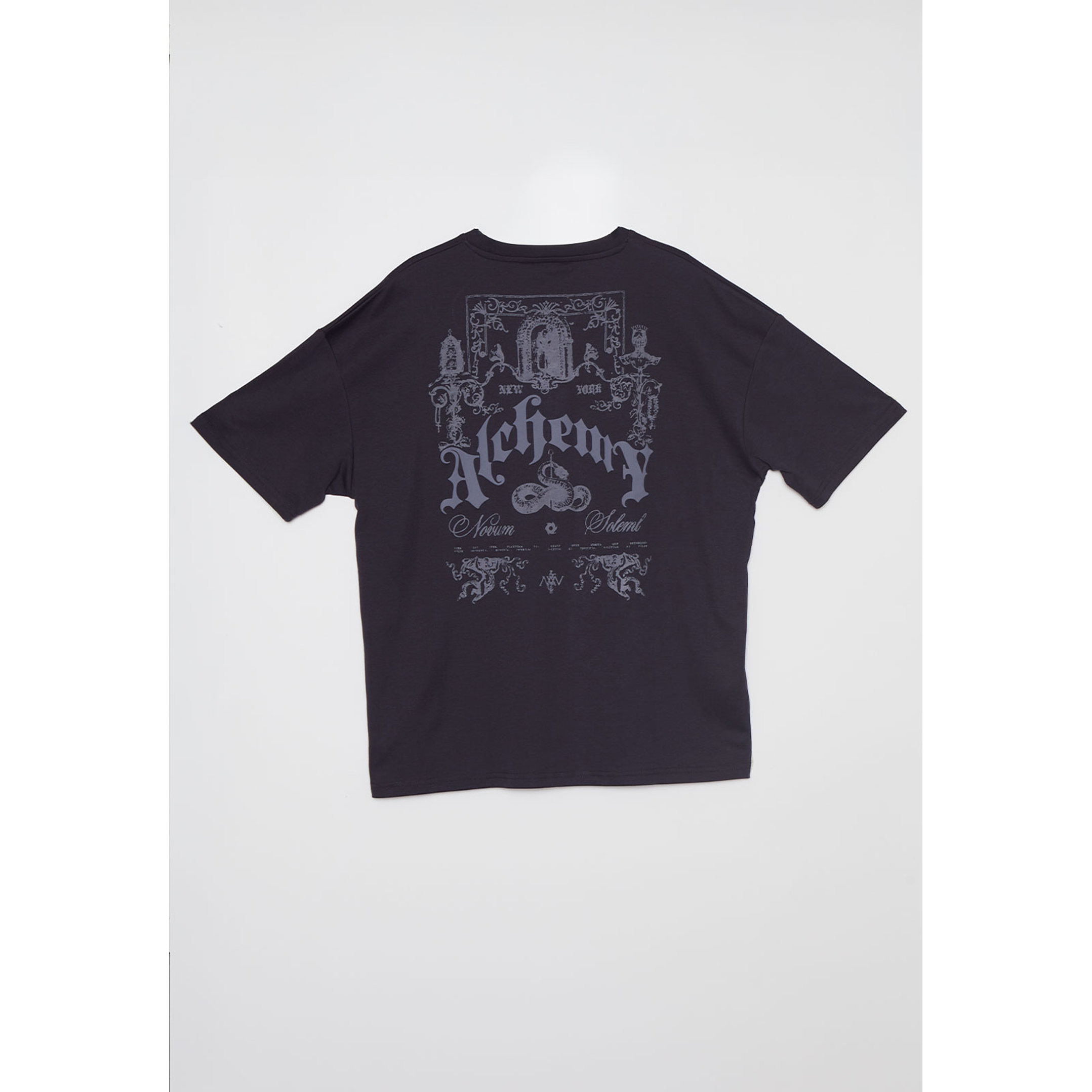 Polera Alchemy Hombre Gris Familyshop 2