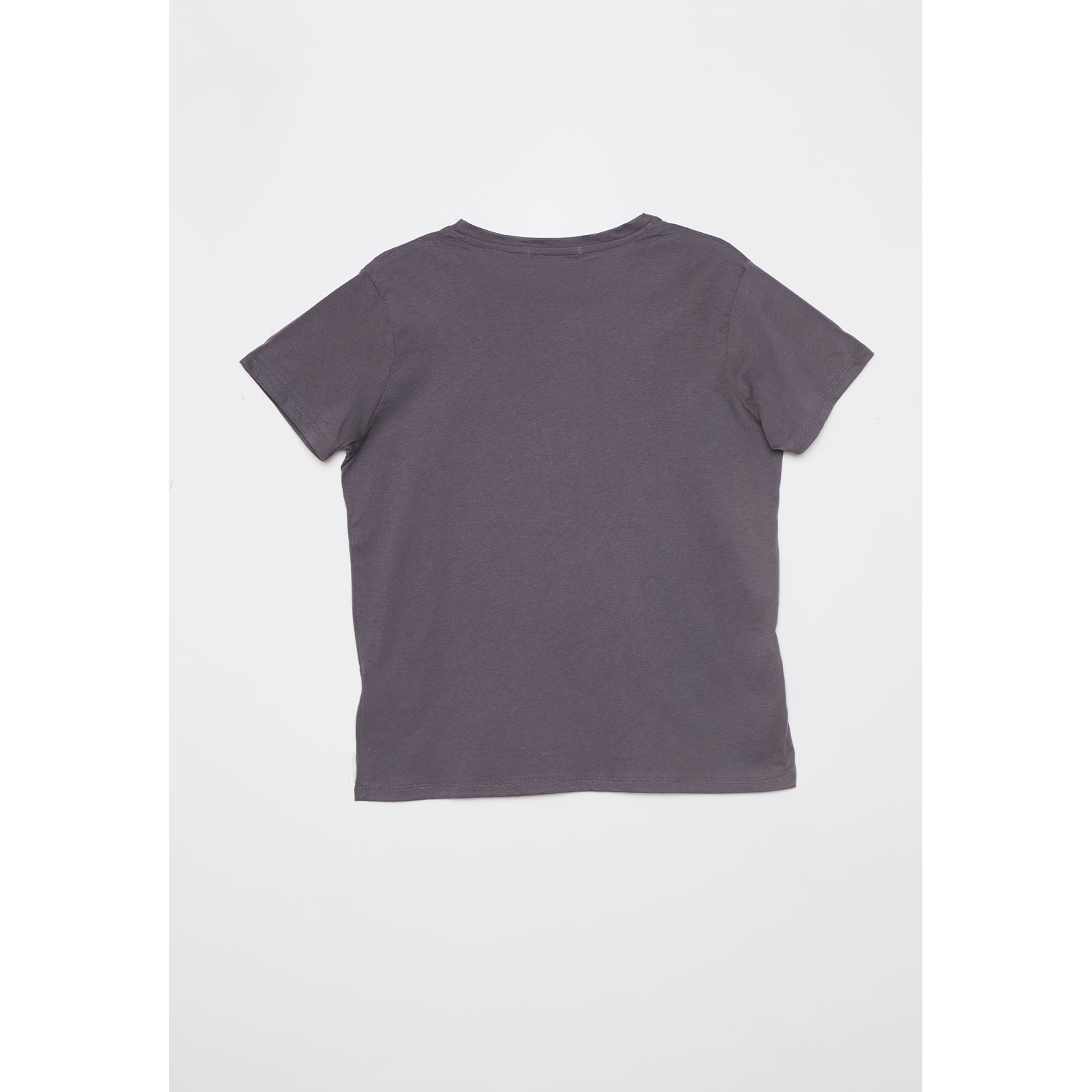 Polera Silver Beach Mujer Gris Familyshop 2