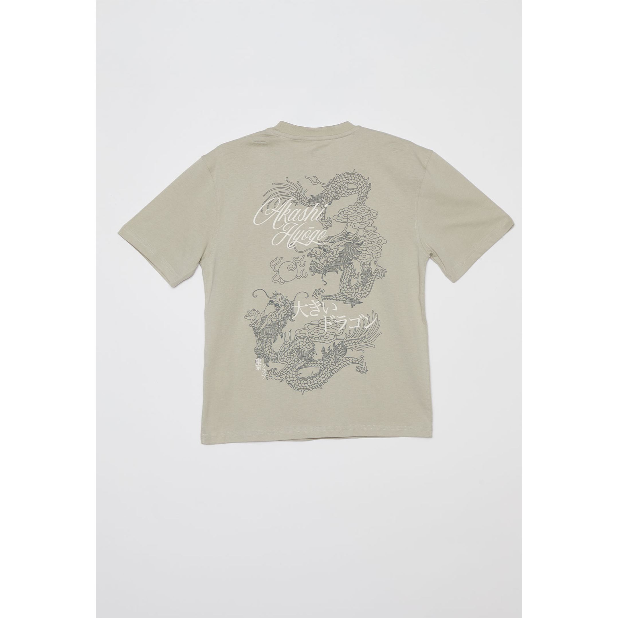 Polera Dragones Lolo Gris Familyshop 2