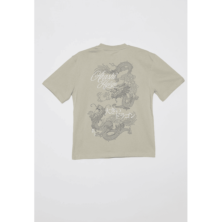 Polera Dragones Lolo Gris Familyshop 2