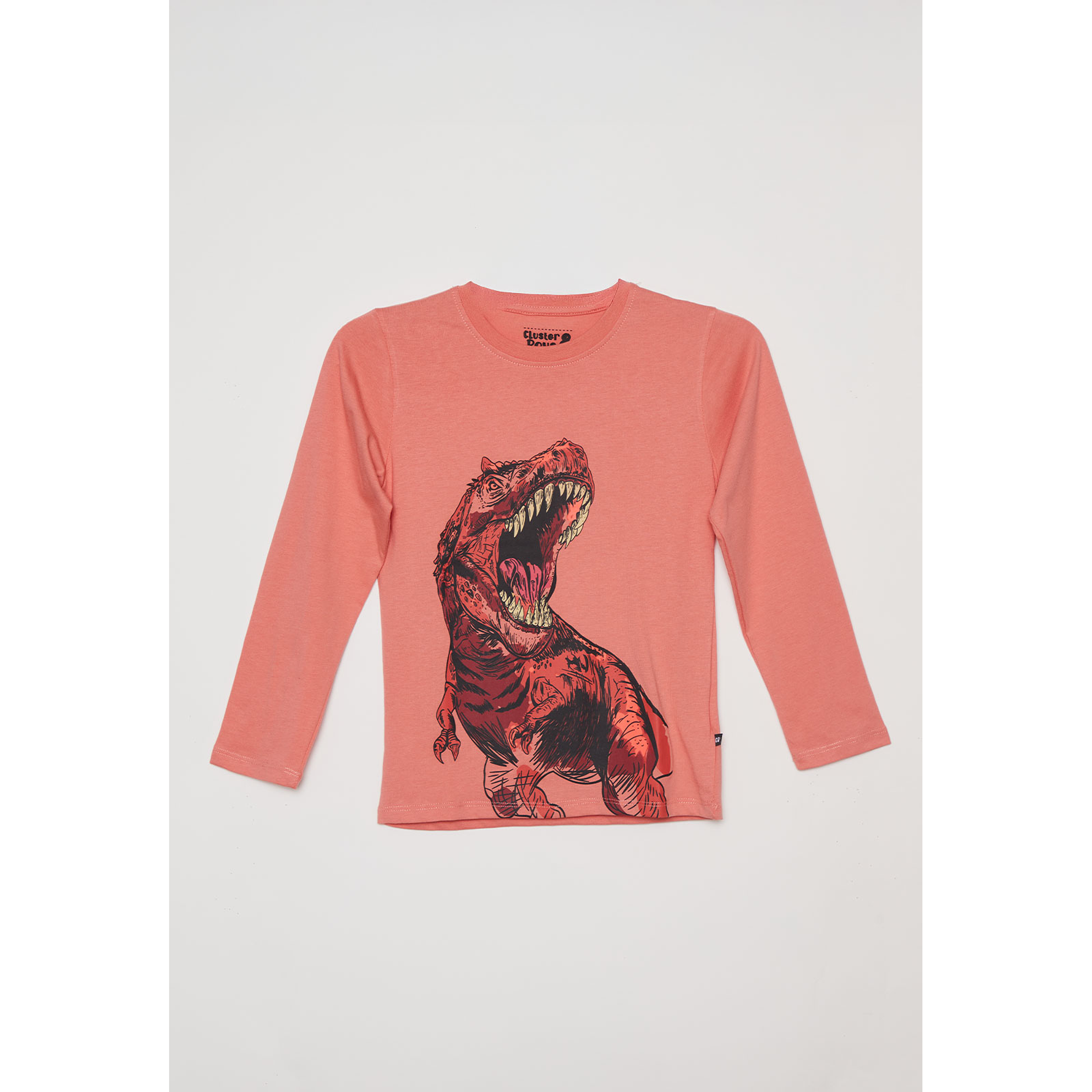 Polera T-rex Niño Naranja Familyshop 1