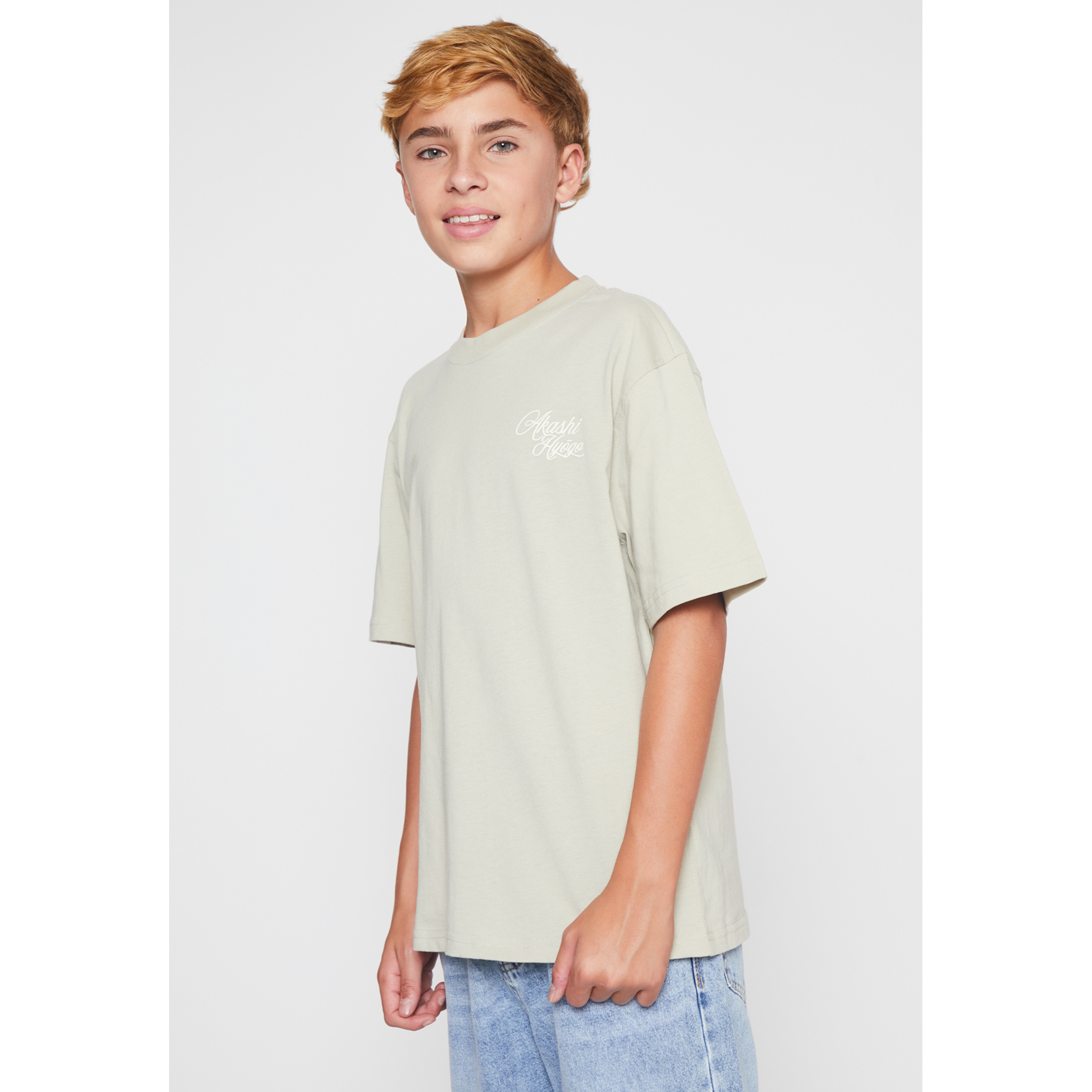 Polera Dragones Lolo Gris Familyshop 1