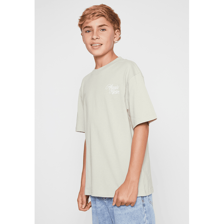 Polera Dragones Lolo Gris Familyshop 1