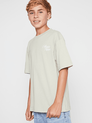 Polera Dragones Lolo Gris Familyshop