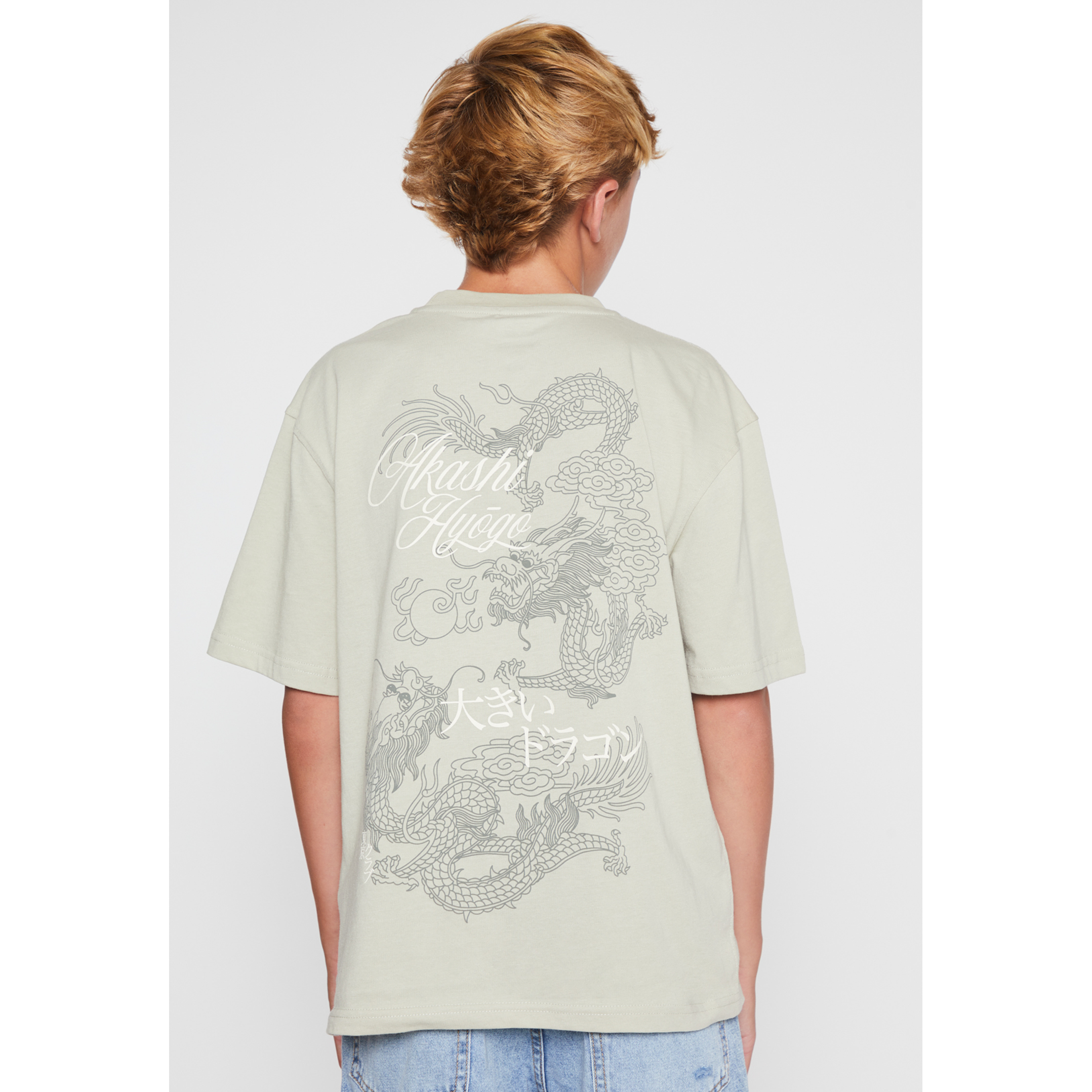 Polera Dragones Lolo Gris Familyshop 3