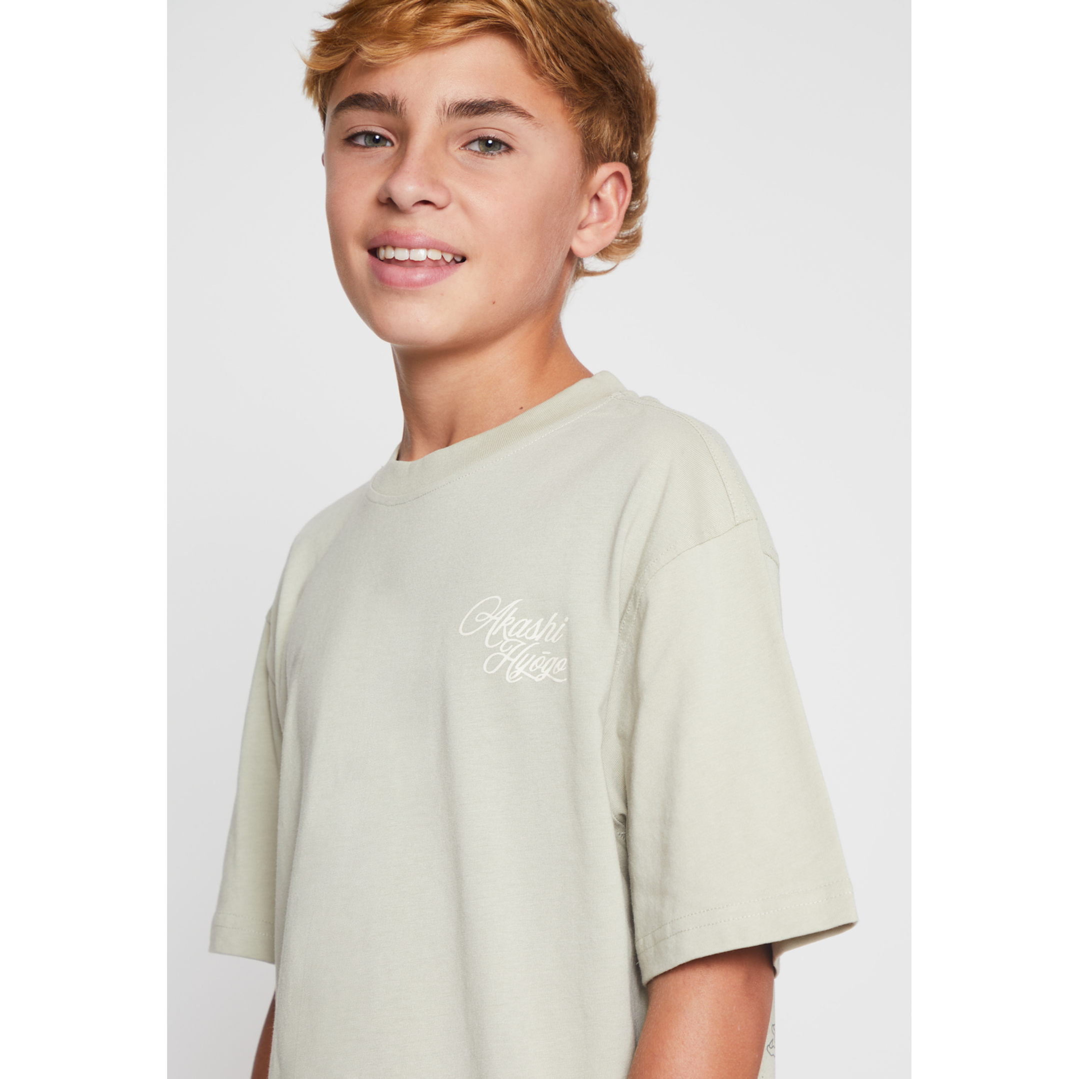 Polera Dragones Lolo Gris Familyshop 4