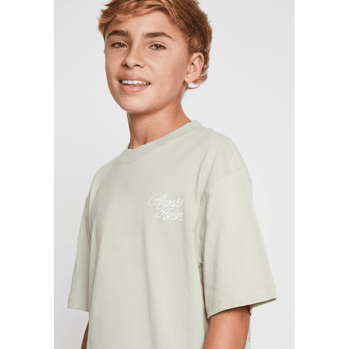 Polera Dragones Lolo Gris Familyshop 4