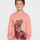 Polera T-rex Niño Naranja Familyshop - Miniatura 1
