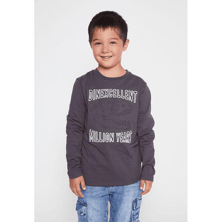 Polera Dinexcellent Niño Acero Familyshop 1