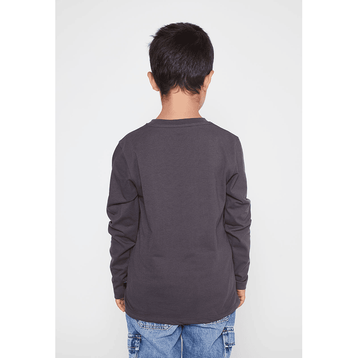 Polera Dinexcellent Niño Acero Familyshop 3