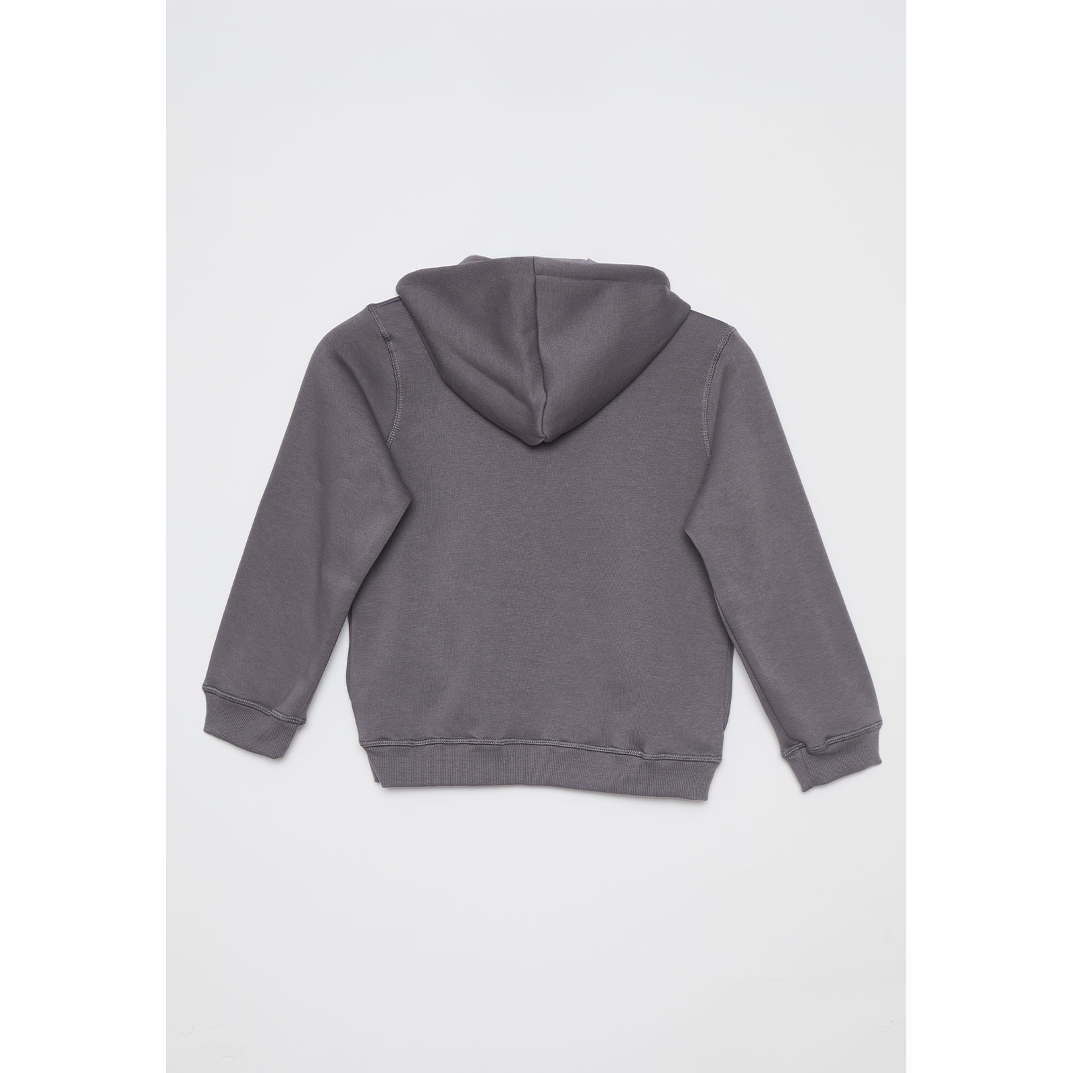 Polerón Dino Niño Gris Familyshop 2