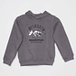 Polerón Dino Niño Gris Familyshop - Miniatura 1
