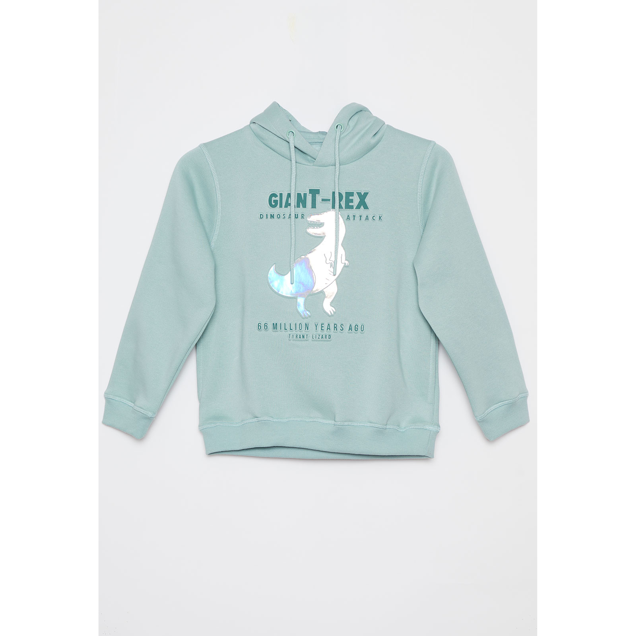 Polerón Dino Metalizado Niño Verde Familyshop 1