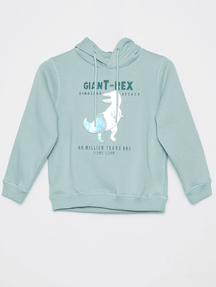 Polerón Dino Metalizado Niño Verde Familyshop
