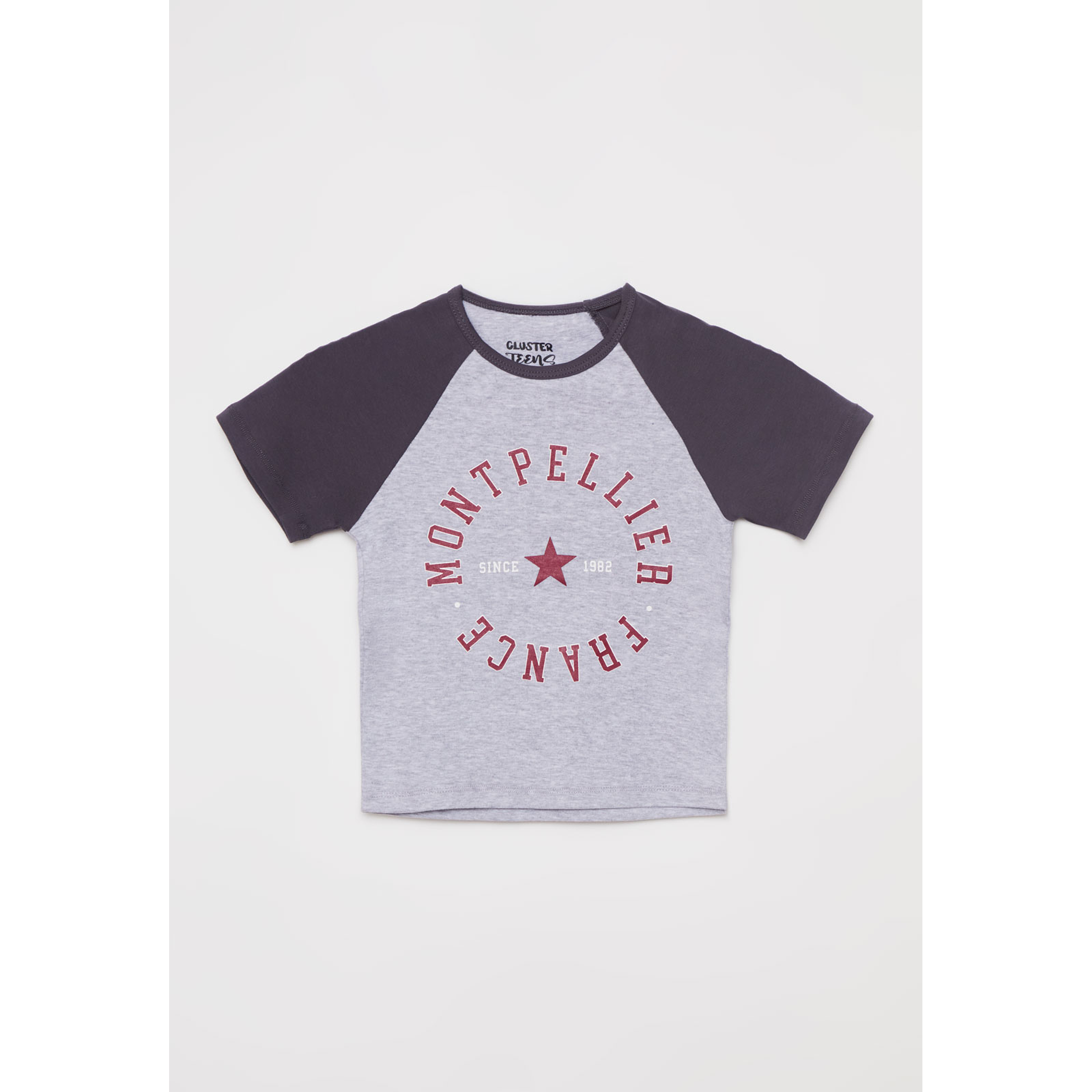 Polera Raglan Lola Gris Familyshop 1
