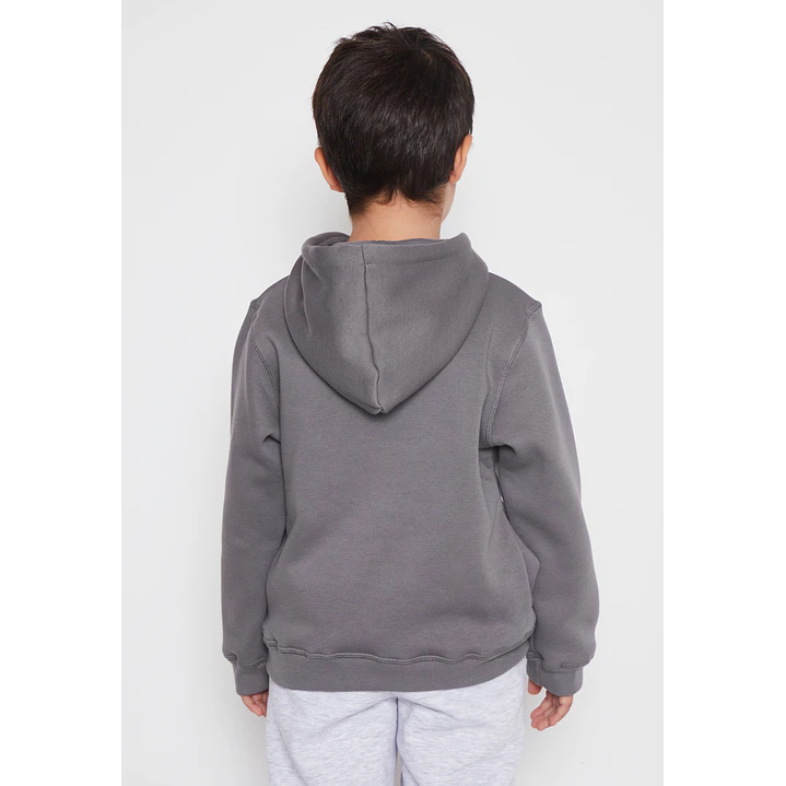Polerón Dino Niño Gris Familyshop 2