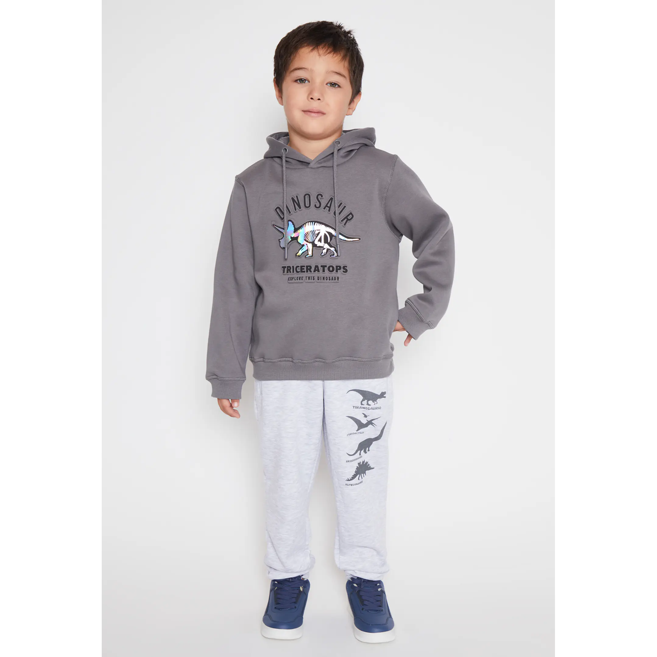 Polerón Dino Niño Gris Familyshop 3