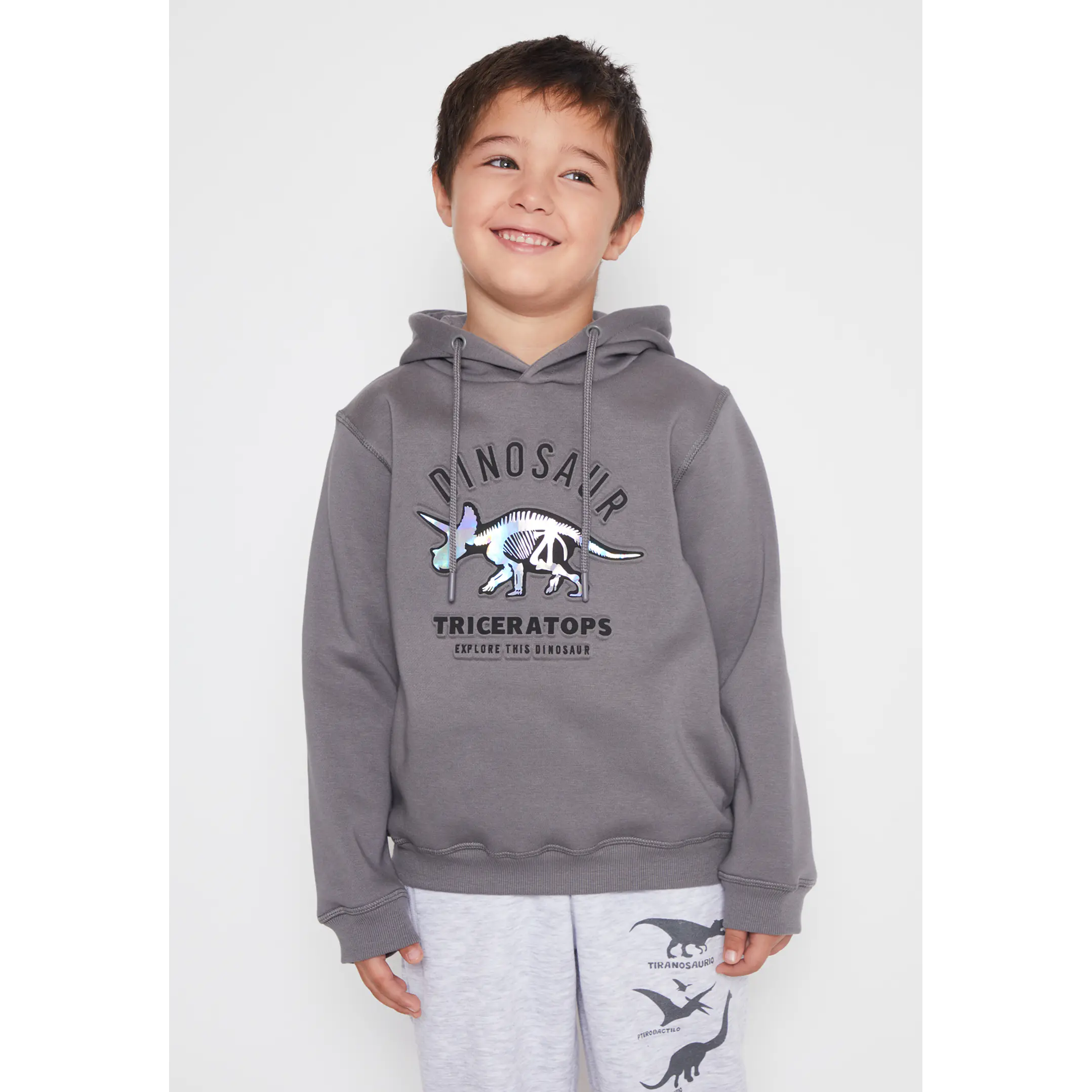Polerón Dino Niño Gris Familyshop 1