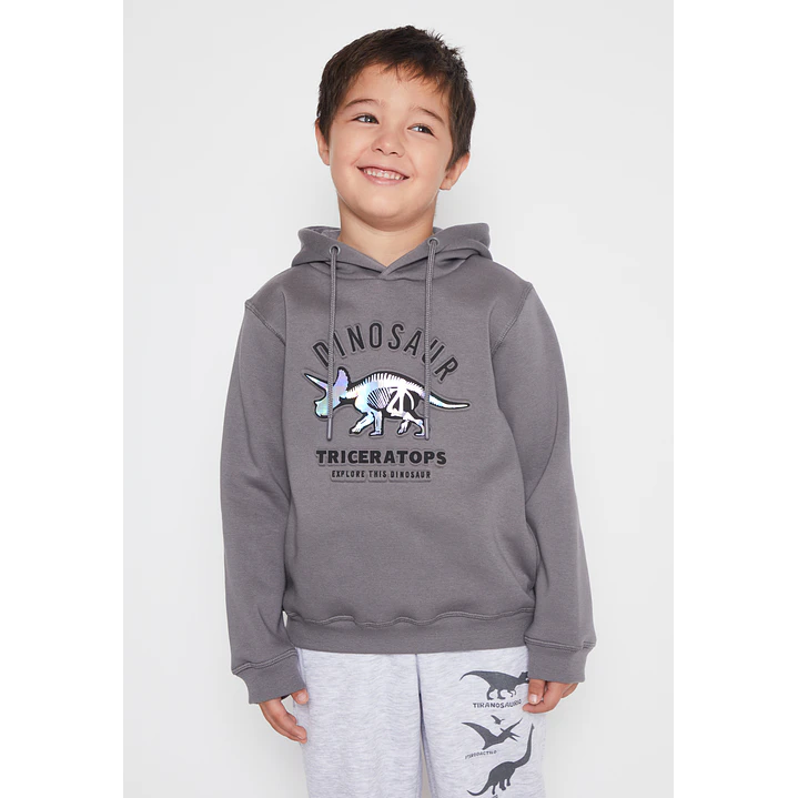Polerón Dino Niño Gris Familyshop 1