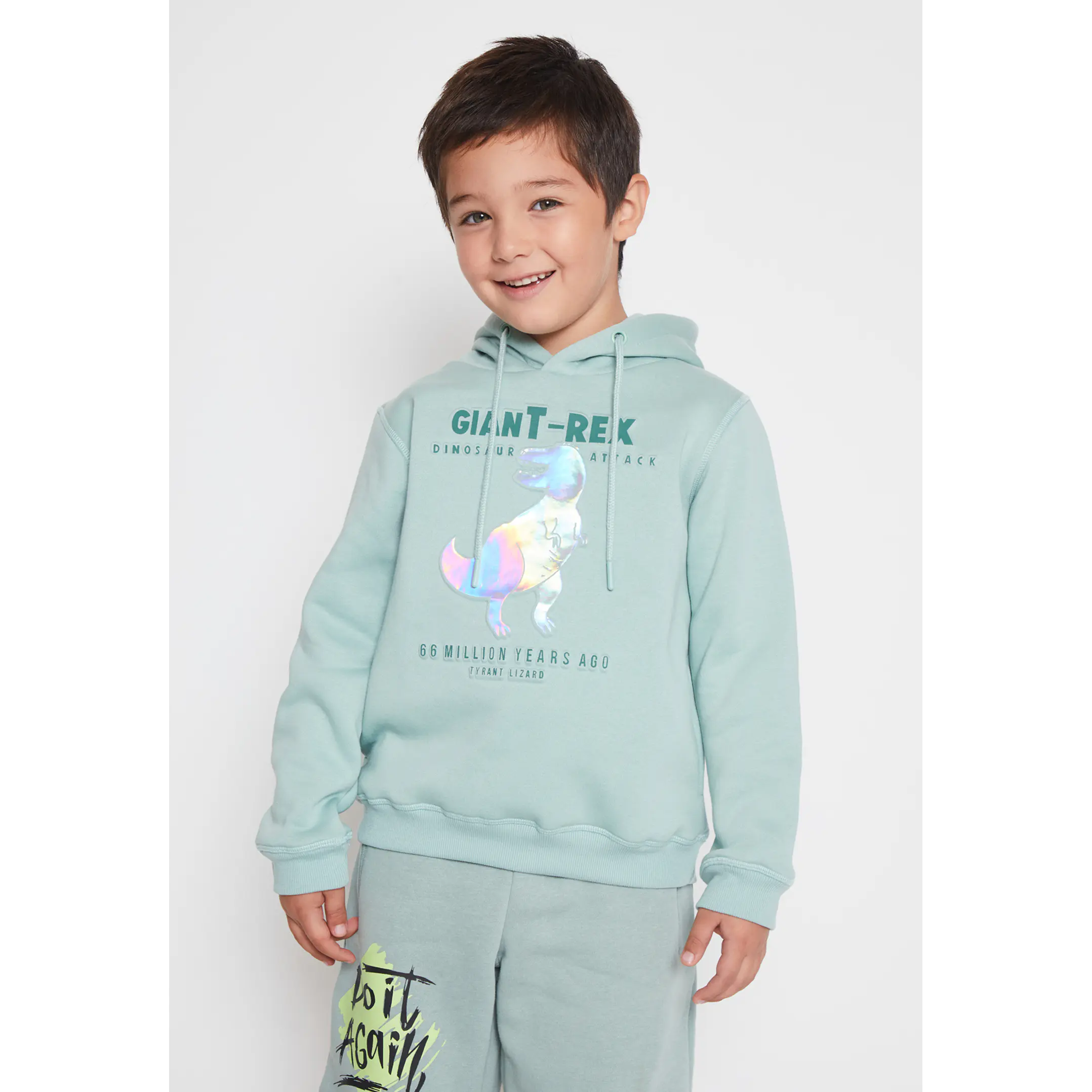Polerón Dino Metalizado Niño Verde Familyshop 1