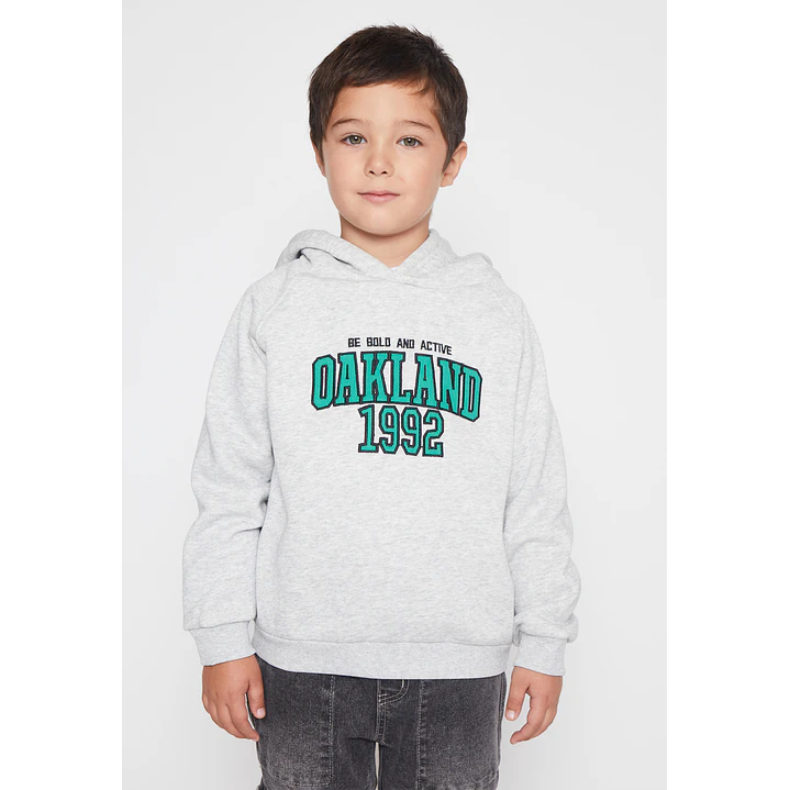 Polerón Bordado Oukland Niño Gris Familyshop 1