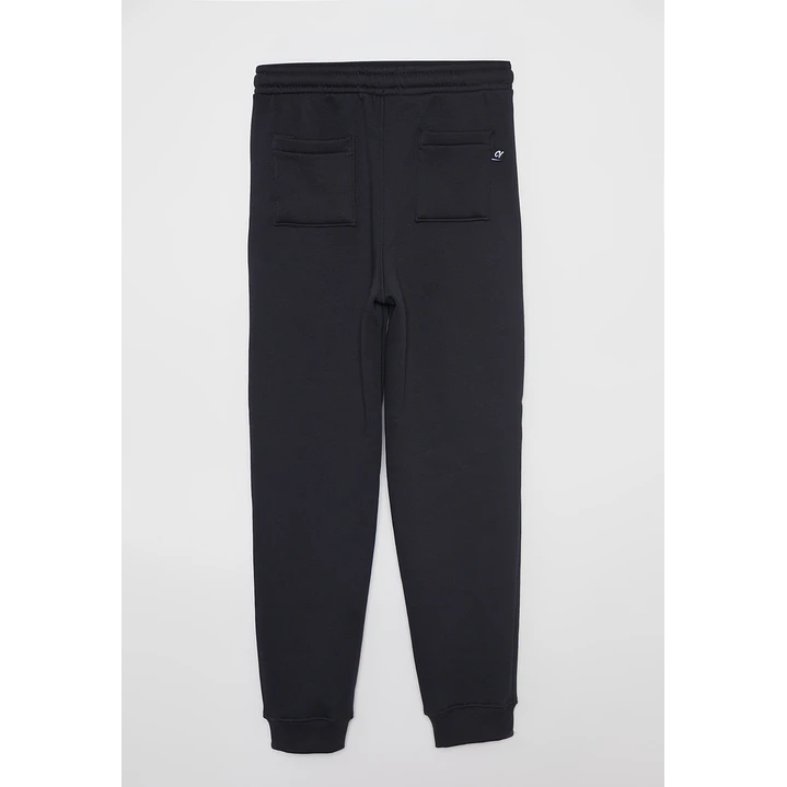 Pantalón Buzo Jogger Lolo Acero Familyshop 2