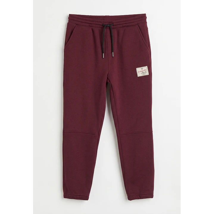 Pantalón Buzo Jogger Niño Burdeo Familyshop 1