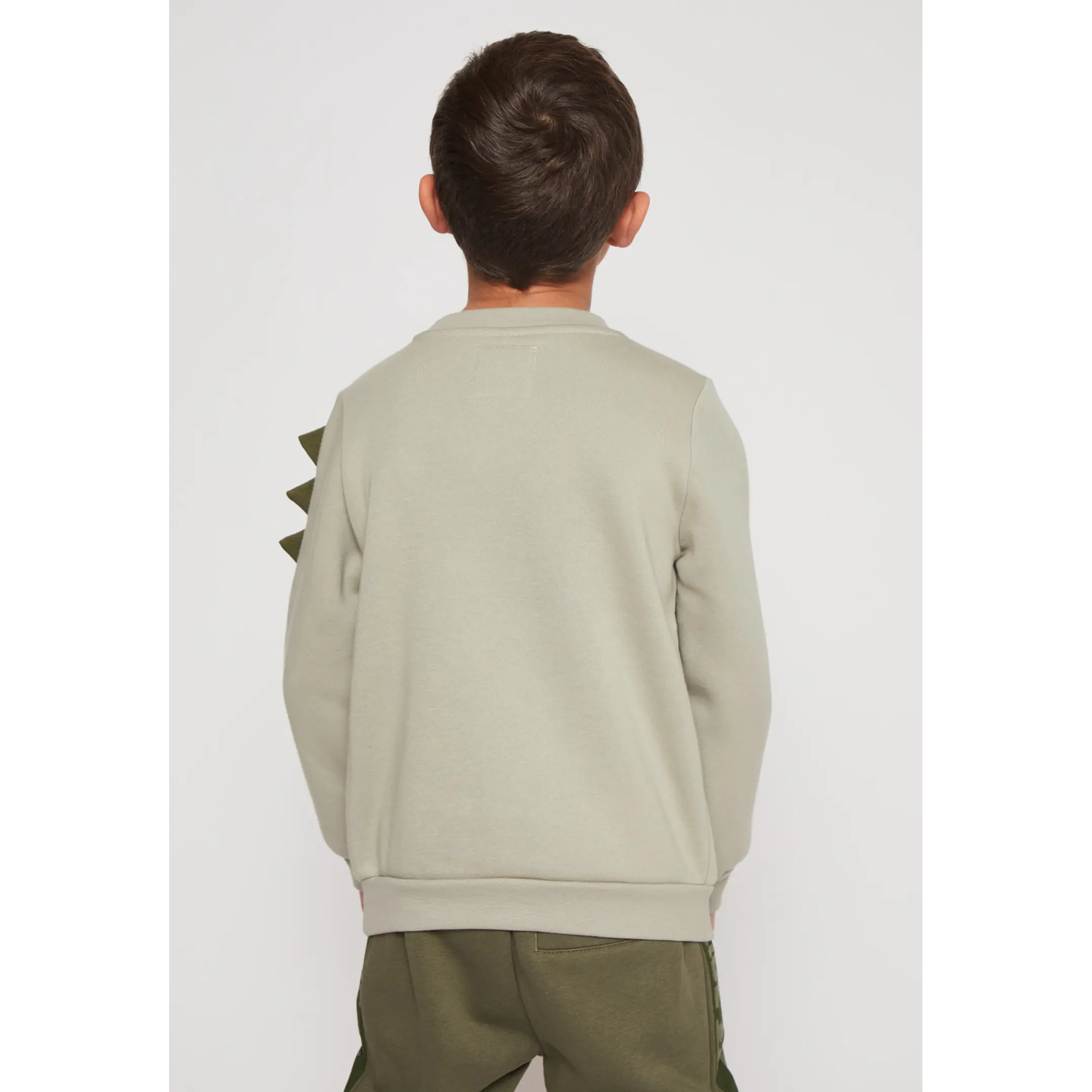 Polerón Dino Niño Verde Familyshop 2