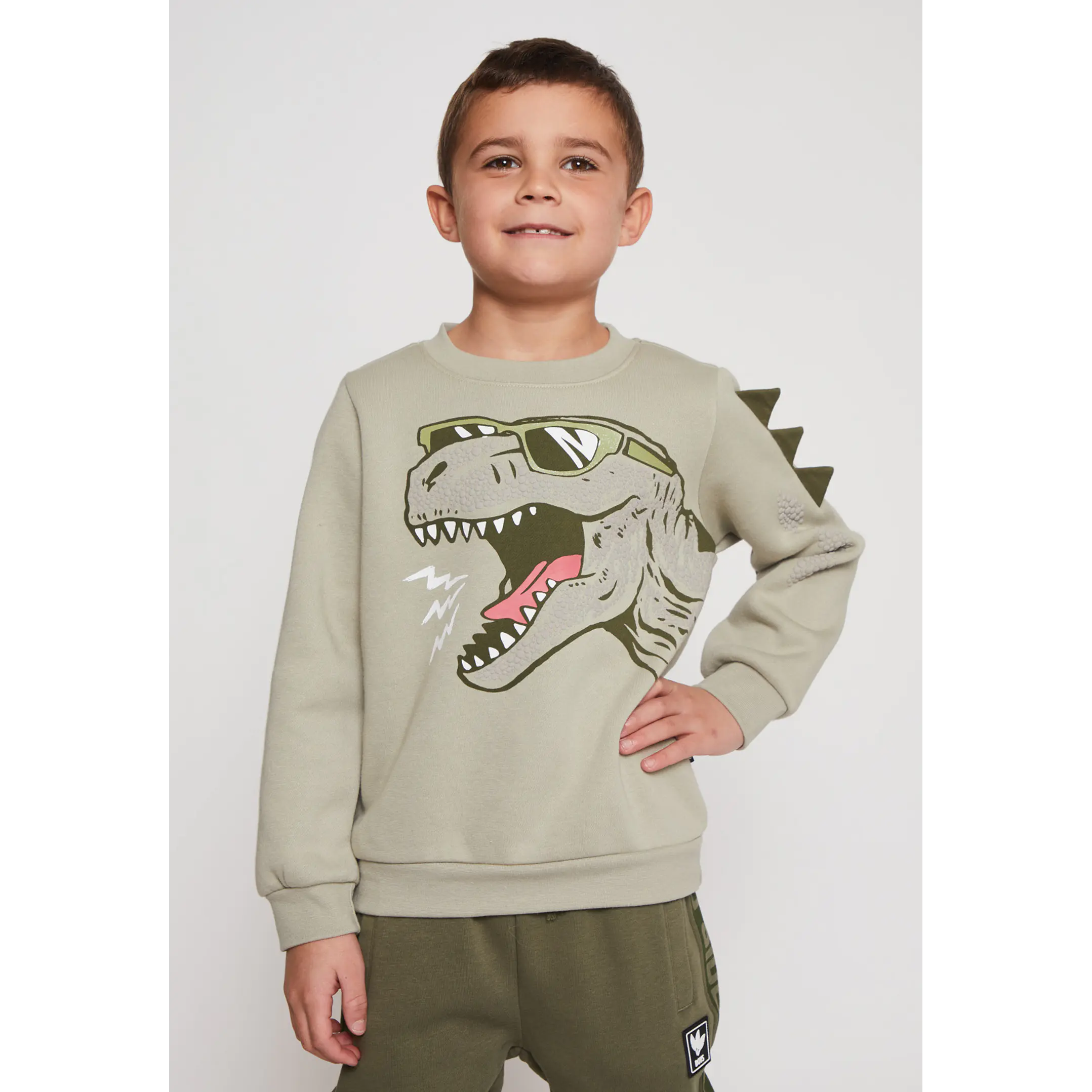 Polerón Dino Niño Verde Familyshop 1
