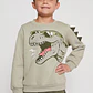 Polerón Dino Niño Verde Familyshop - Miniatura 1
