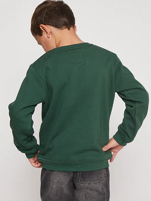 Polerón Frontal Niño Verde Familyshop