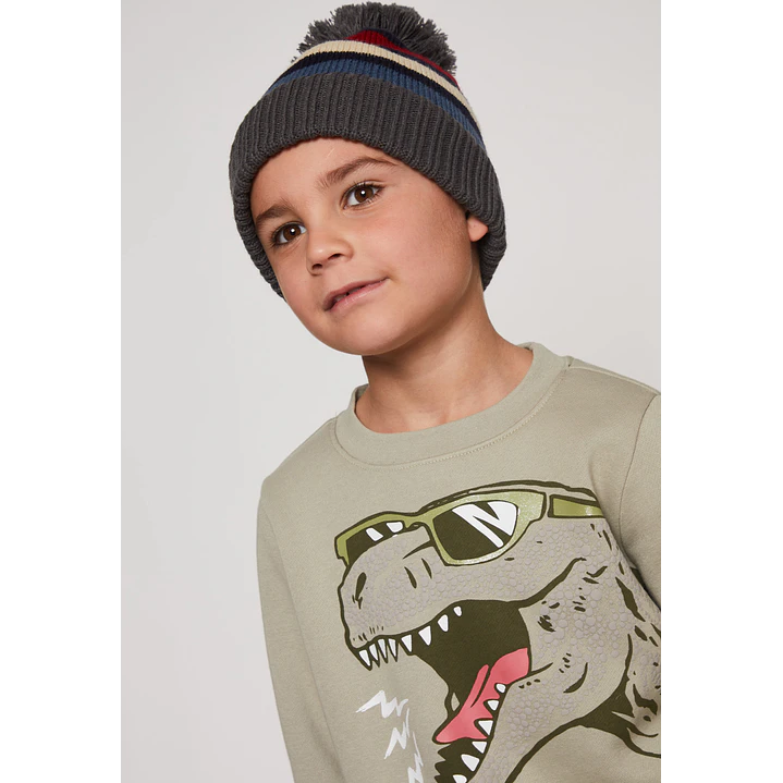 Gorro Diseños Niño Gris Familyshop 1