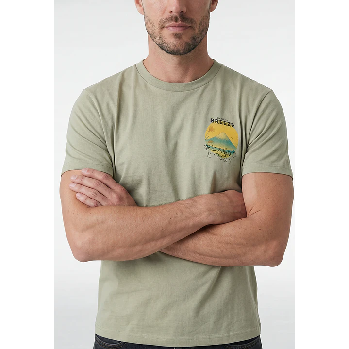 Polera Regular Hombre Verde 2