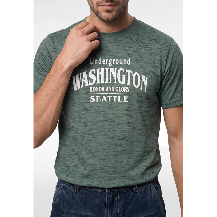 Polera Básica Hombre Verde 2