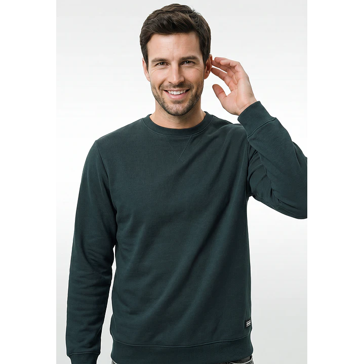 Polerón Básico Hombre Verde 2
