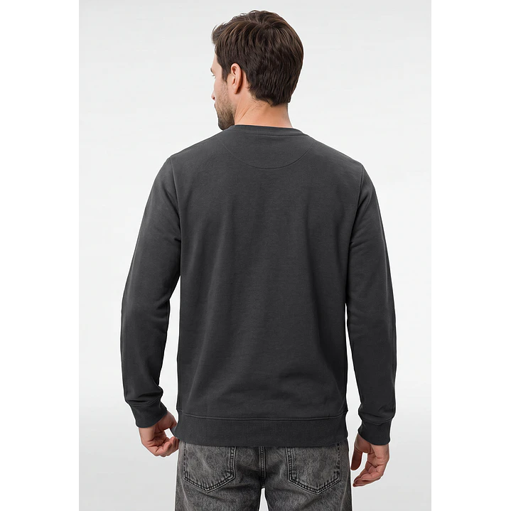 Polerón Básico Hombre Gris 3