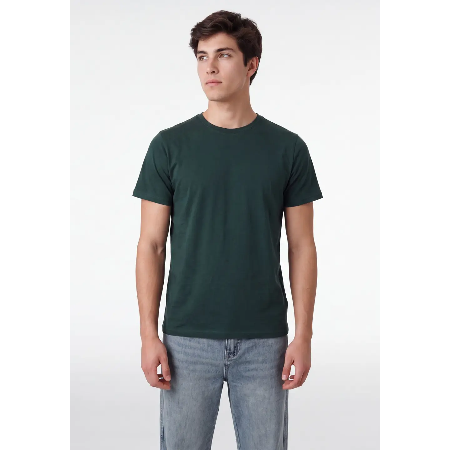 Polera Básica Hombre Verde 1