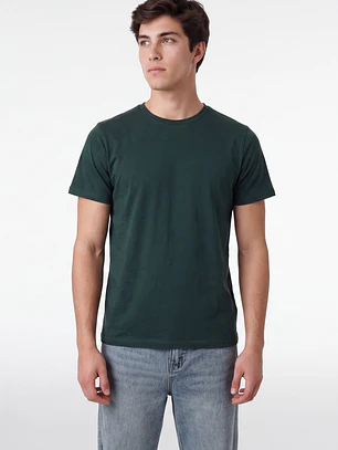Polera Básica Hombre Verde