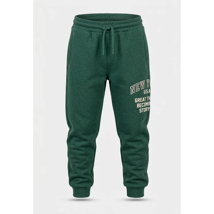 Buzo New York Niño Verde 1