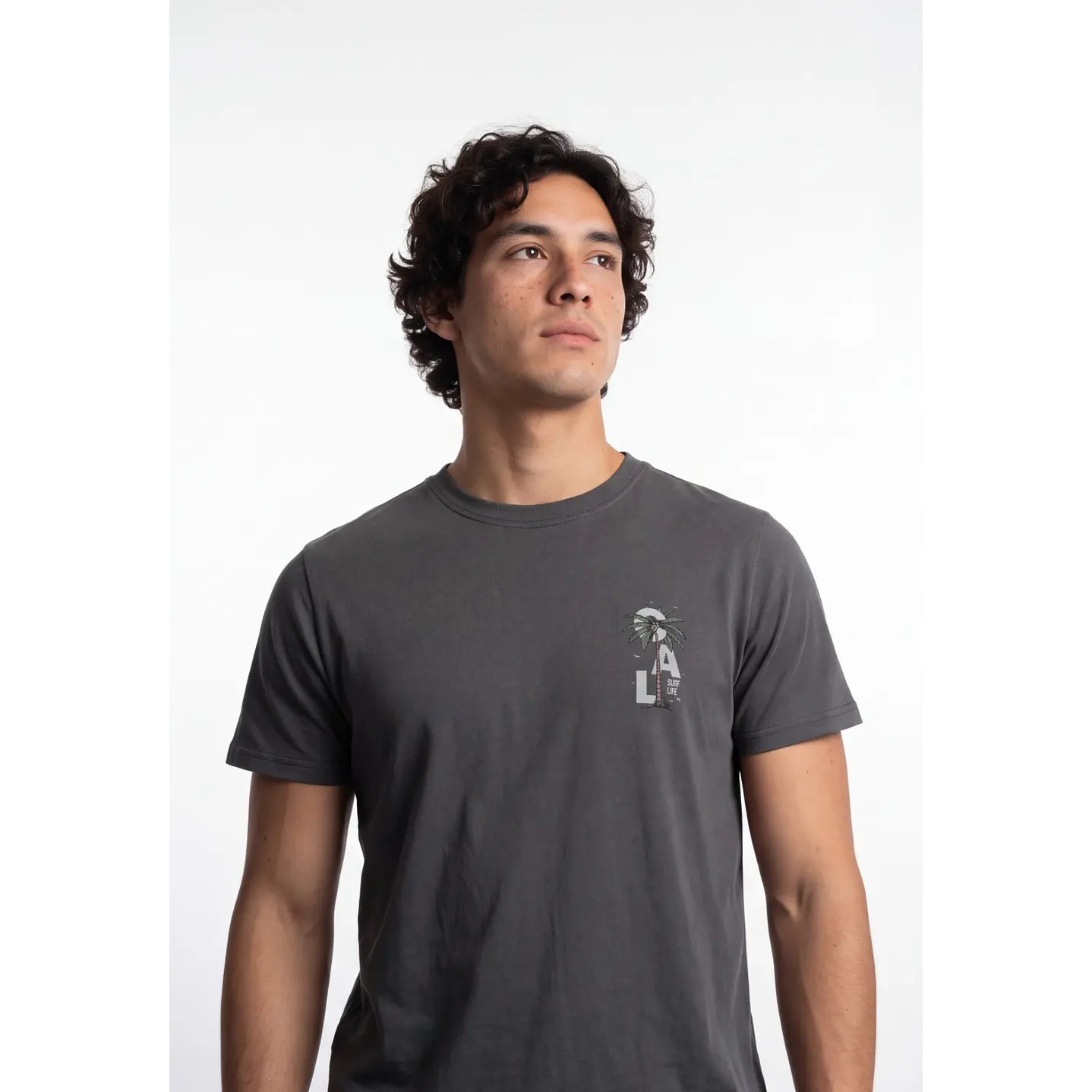 Polera Básica Hombre Gris 4